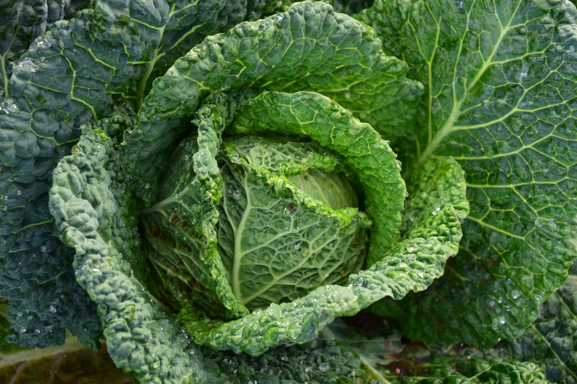 9-181