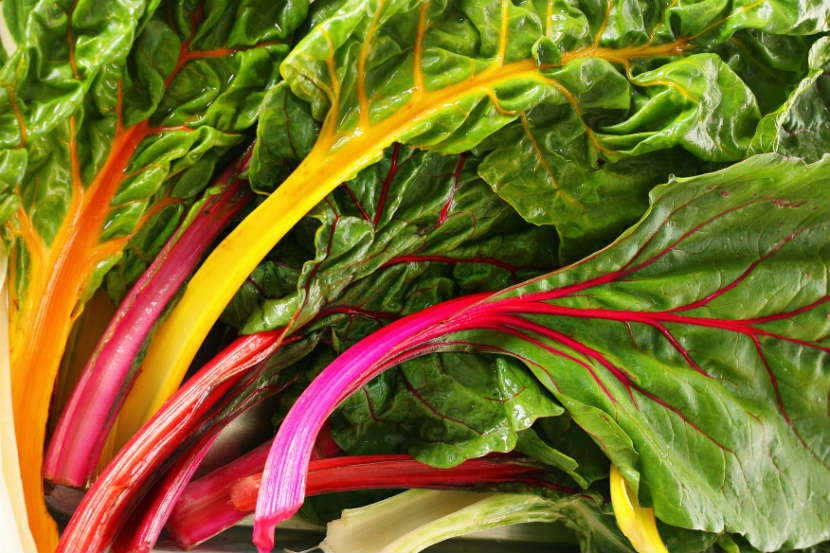 all-about-swiss-chard-original-resized