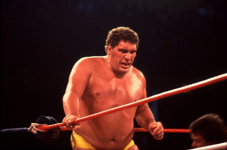 andre-the-giant-730x483