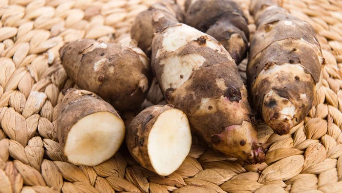 jerusalem-artichoke-article_1