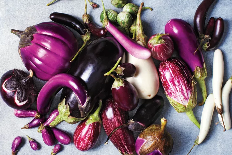 eggplant-glossary-077-d110486_vert-f2c694361c8c4fb8a3b2d2a45a6c0379-new-crop-928090bb72814133b11407c92e9bf328
