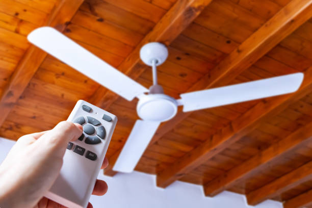 fan-3