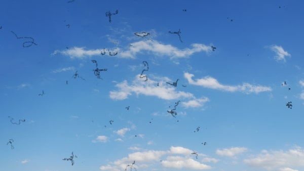 floaters-1