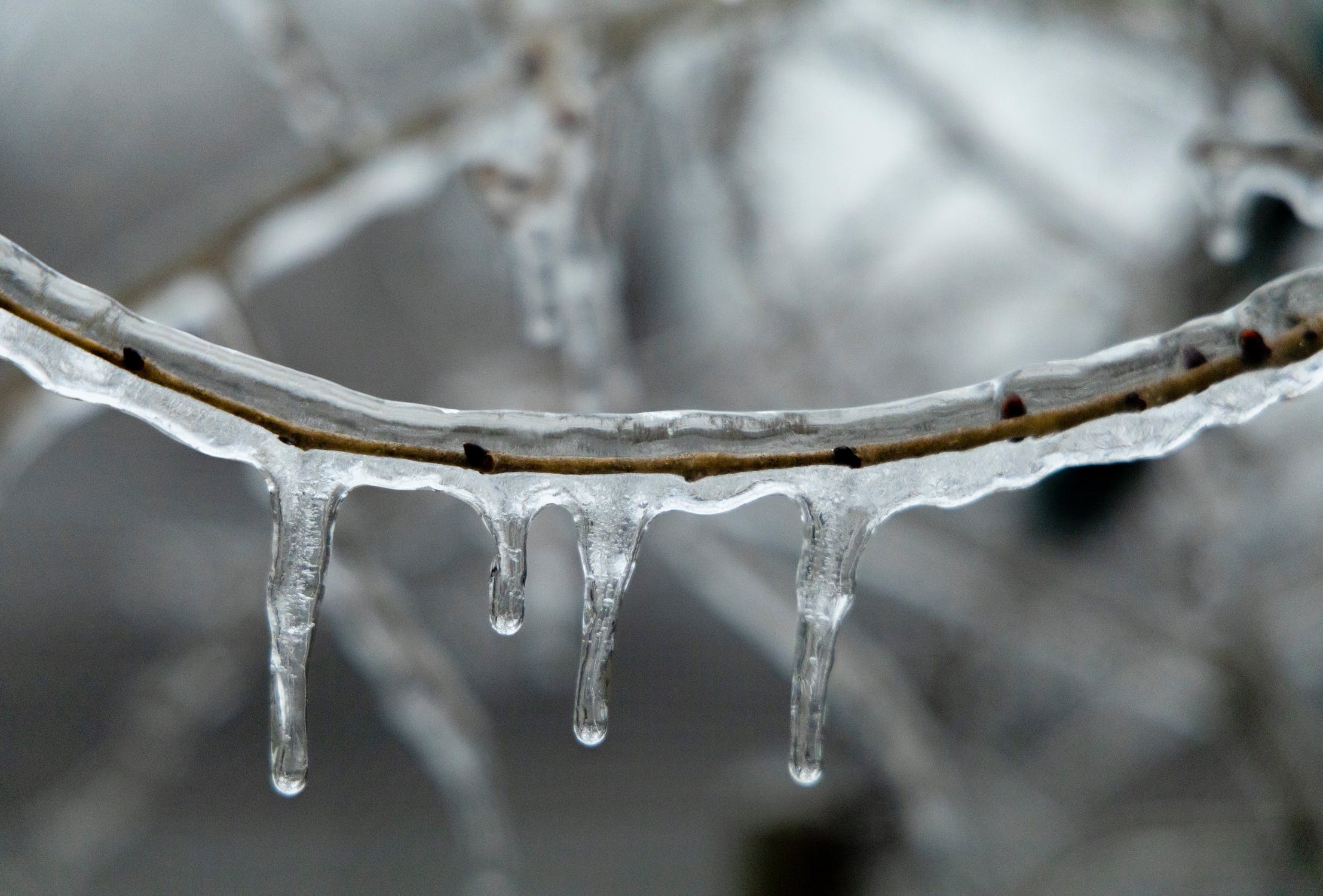 freeze