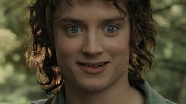 frodo