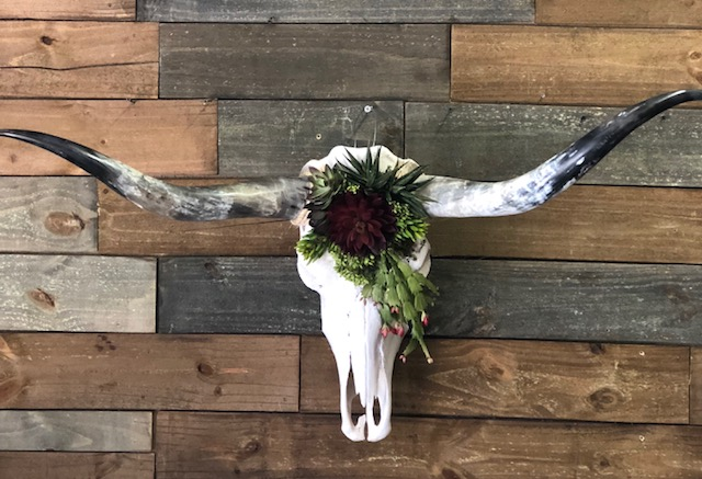 skull-succ