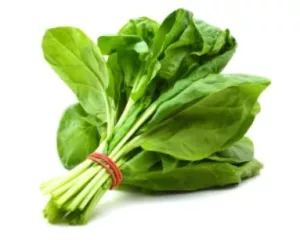 spinachlarge_1400x