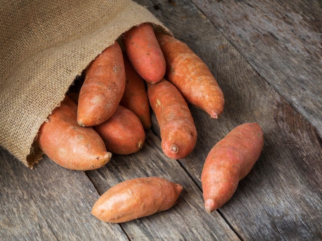 spoiled-sweet-potato2