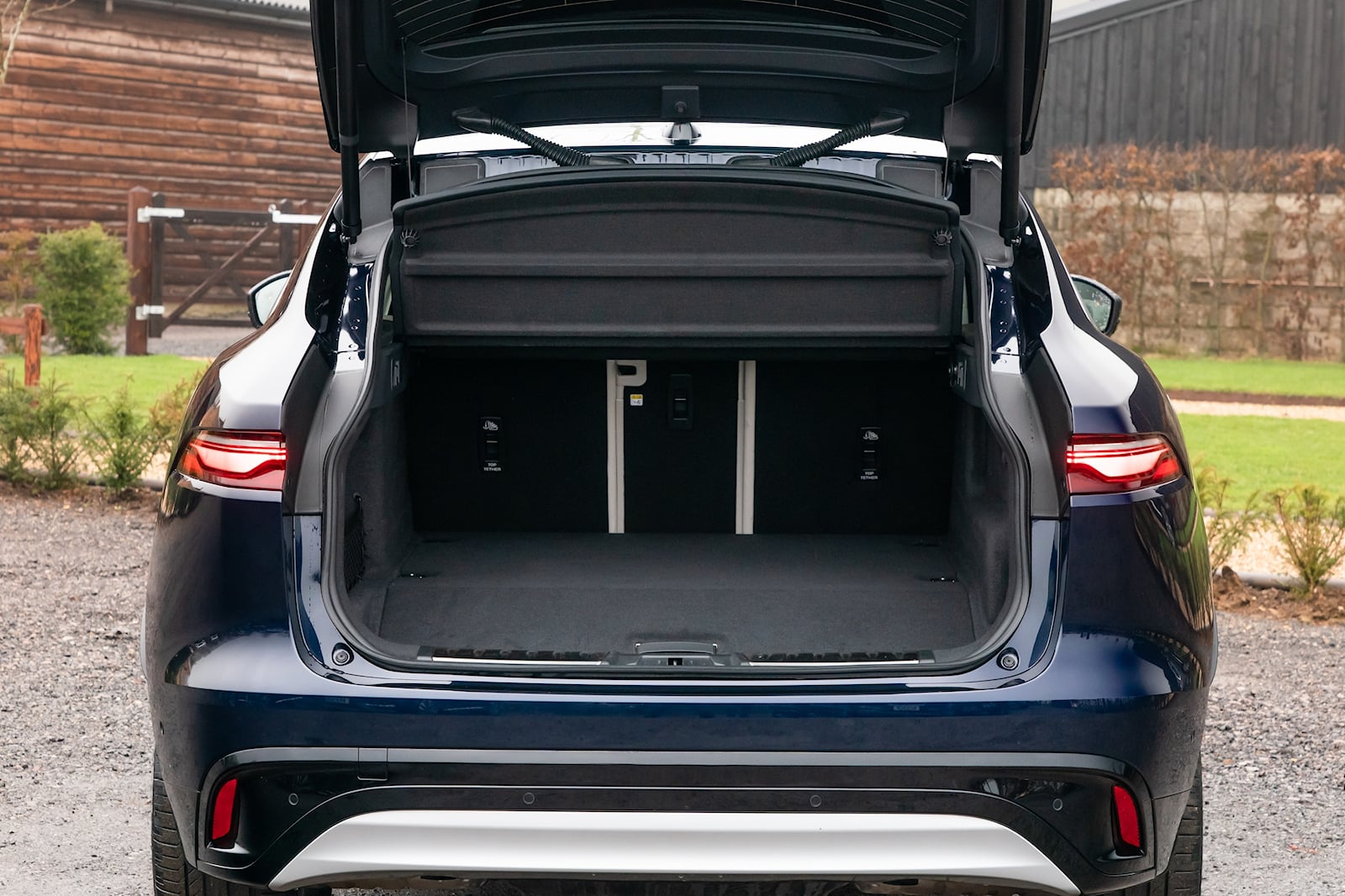 trunk